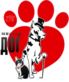 logo-3